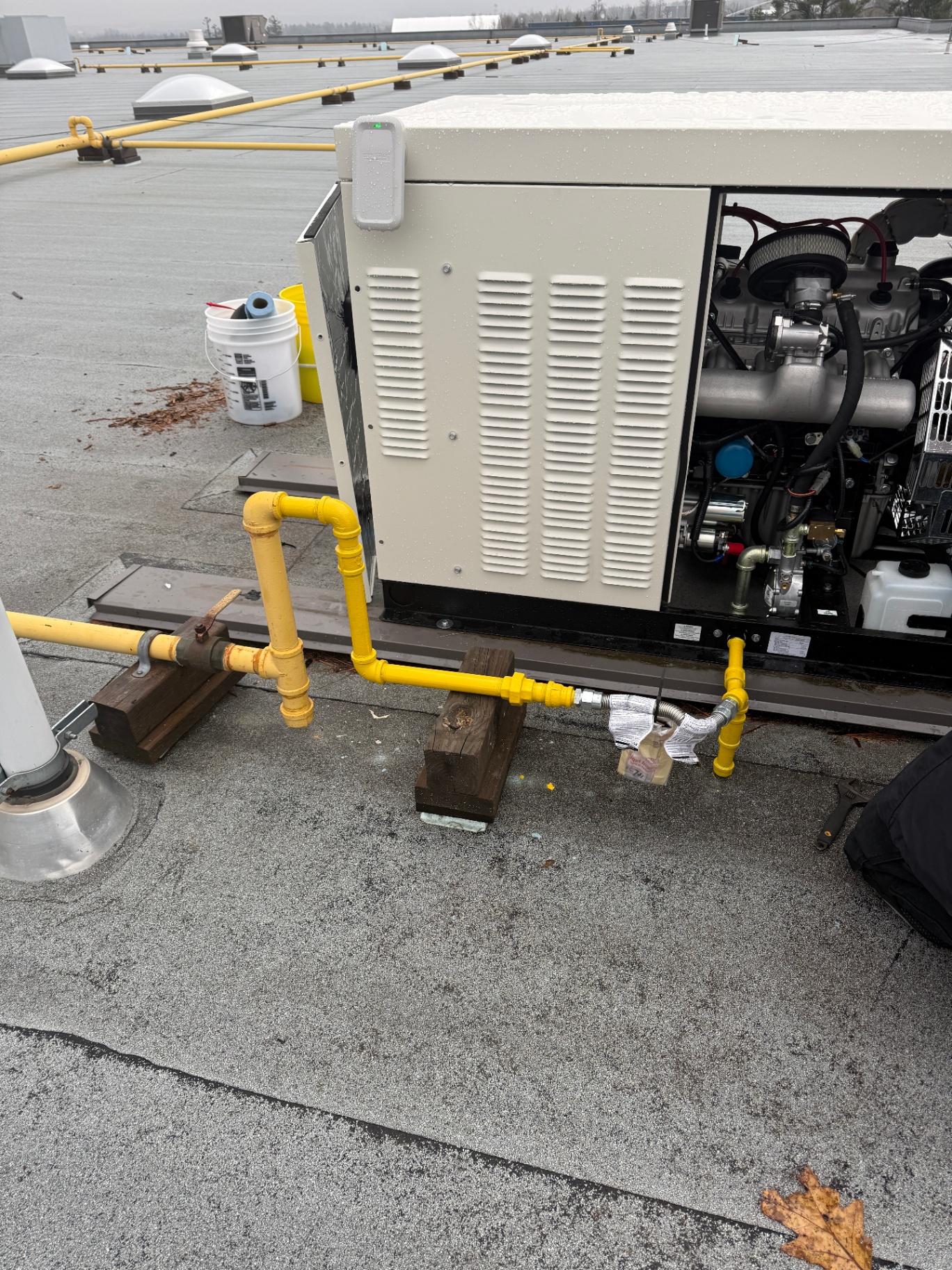 Commercial Generator Gas Connection